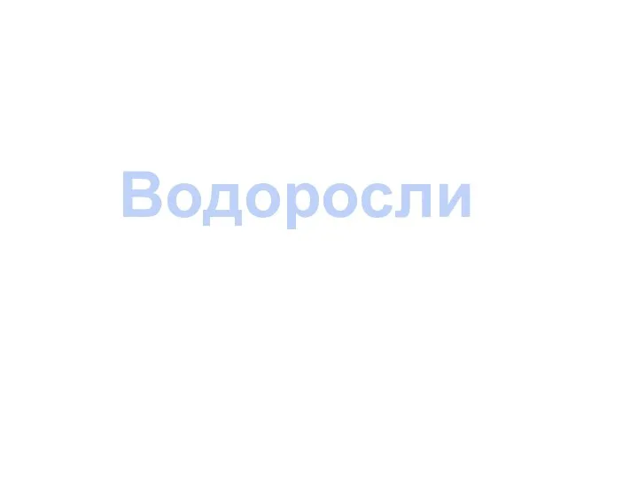 Водоросли