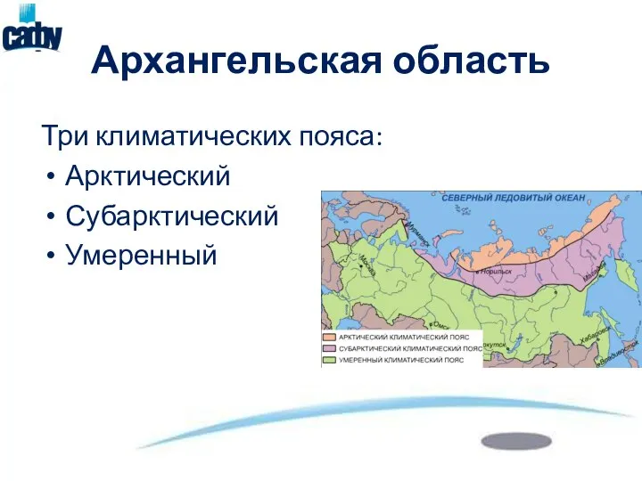 Архангельская область Три климатических пояса: Арктический Субарктический Умеренный