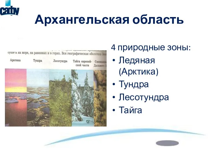 Архангельская область 4 природные зоны: Ледяная (Арктика) Тундра Лесотундра Тайга