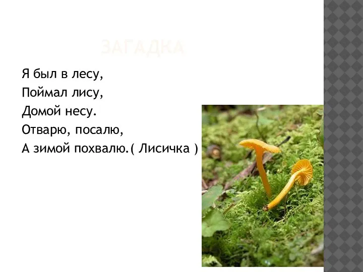 ЗАГАДКА Я был в лесу, Поймал лису, Домой несу. Отварю, посалю, А зимой похвалю.( Лисичка )