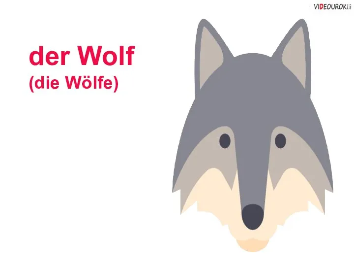 der Wolf (die Wölfe)