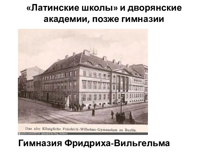 «Латинские школы» и дворянские академии, позже гимназии Гимназия Фридриха-Вильгельма