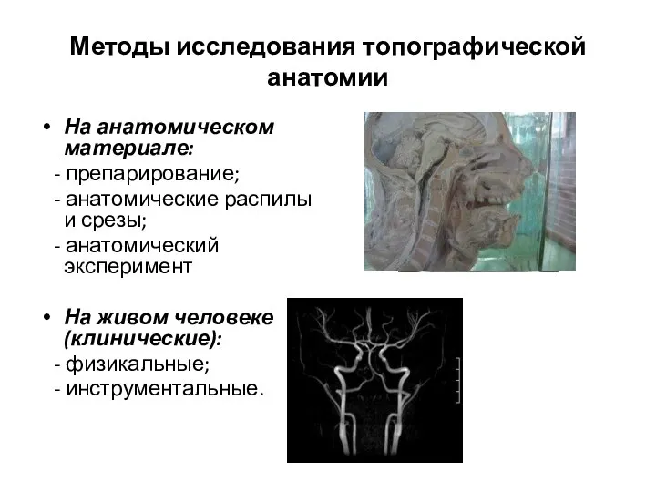 Методы исследования топографической анатомии На анатомическом материале: - препарирование; - анатомические распилы