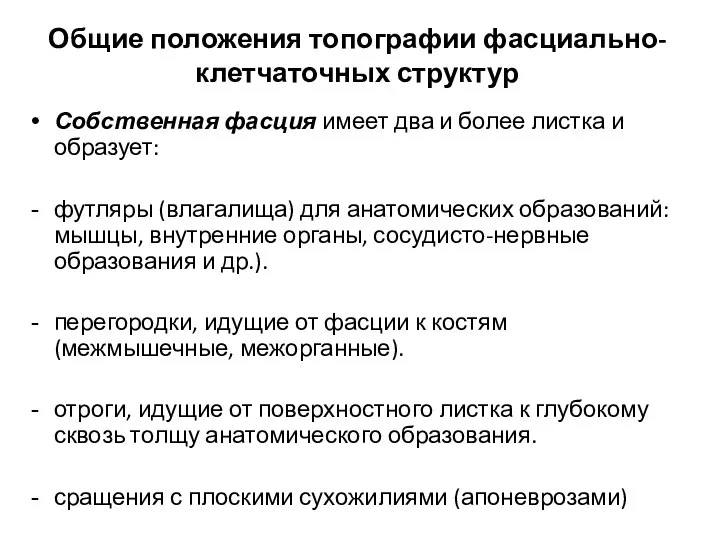 Общие положения топографии фасциально-клетчаточных структур Собственная фасция имеет два и более листка