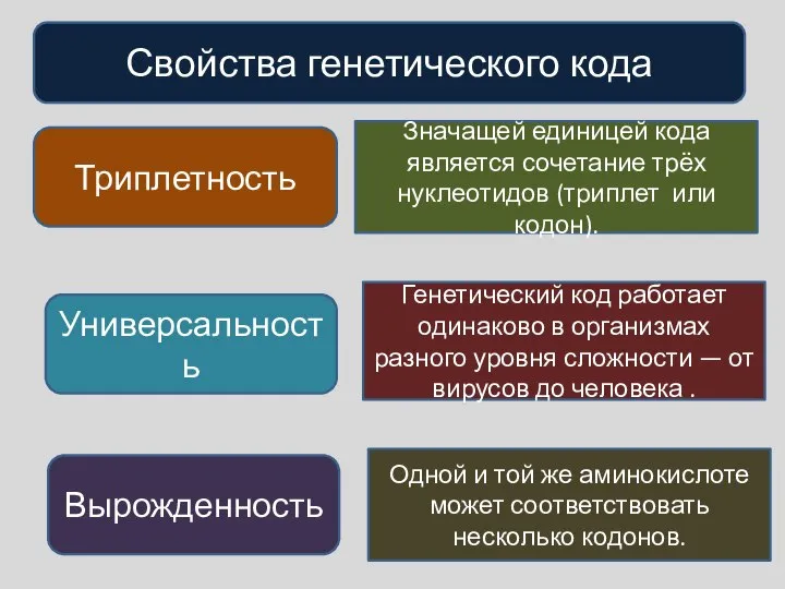 Свойства генетического кода Триплетность Универсальность Вырожденность Значащей единицей кода является сочетание трёх