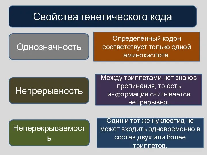 Свойства генетического кода Однозначность Непрерывность Неперекрываемость Определённый кодон соответствует только одной аминокислоте.