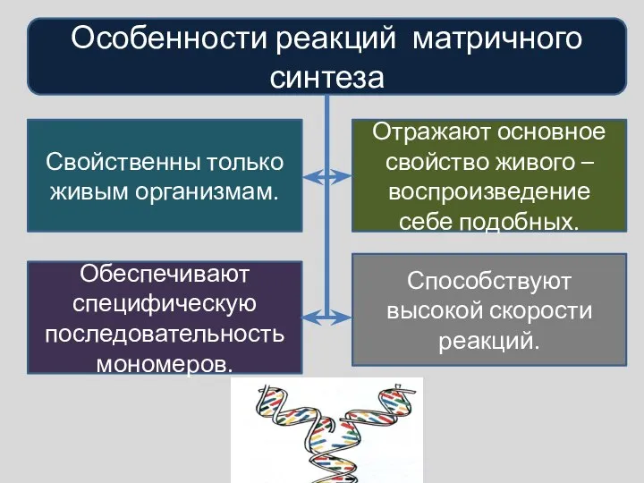 Особенности реакций матричного синтеза Свойственны только живым организмам. Обеспечивают специфическую последовательность мономеров.