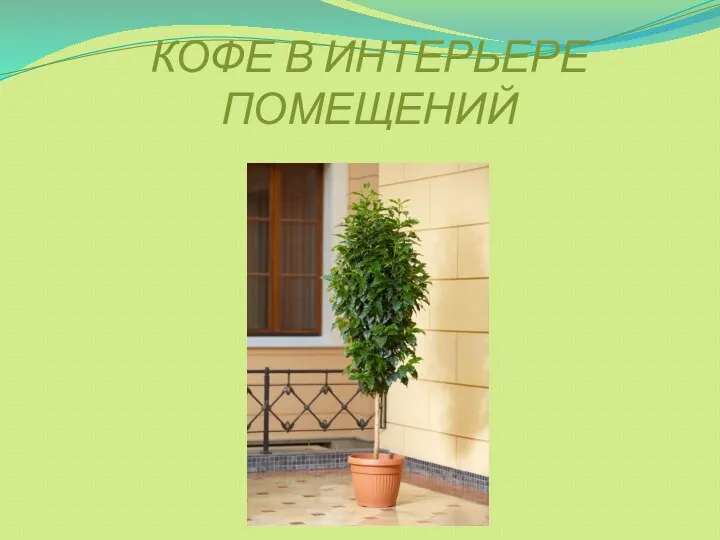 КОФЕ В ИНТЕРЬЕРЕ ПОМЕЩЕНИЙ