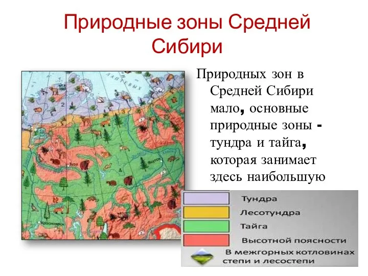 Природные зоны Средней Сибири Природных зон в Средней Сибири мало, основные природные