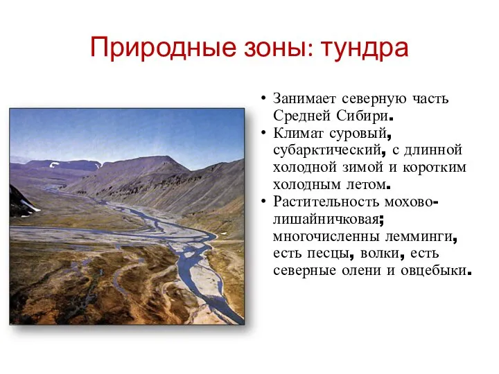 Природные зоны: тундра Занимает северную часть Средней Сибири. Климат суровый, субарктический, с