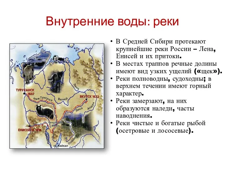 Внутренние воды: реки В Средней Сибири протекают крупнейшие реки России – Лена,