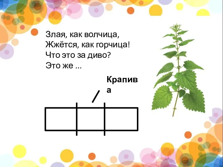 Злая, как волчица, Жжётся, как горчица! Что это за диво? Это же ... Крапива