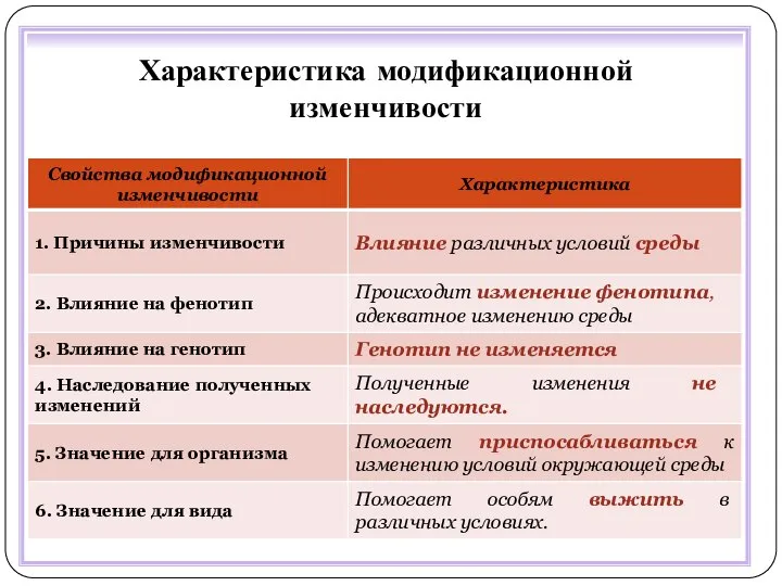 Характеристика модификационной изменчивости