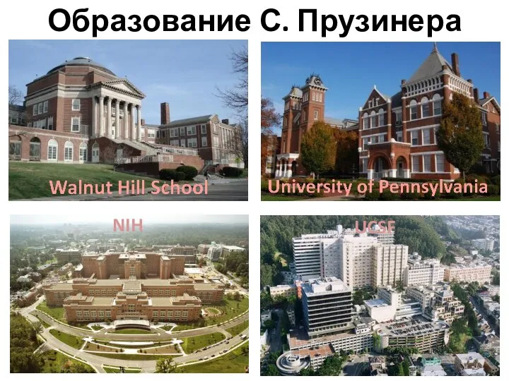 Образование С. Прузинера Walnut Hill School University of Pennsylvania UCSF NIH