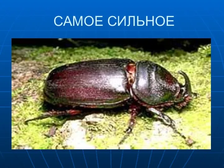 САМОЕ СИЛЬНОЕ