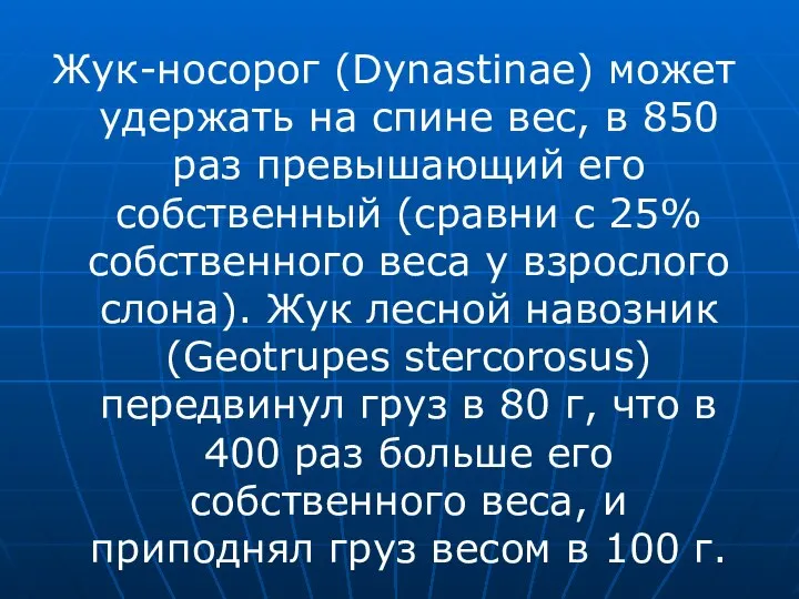 Жук-носорог (Dynastinae) может удержать на спине вес, в 850 раз превышающий его