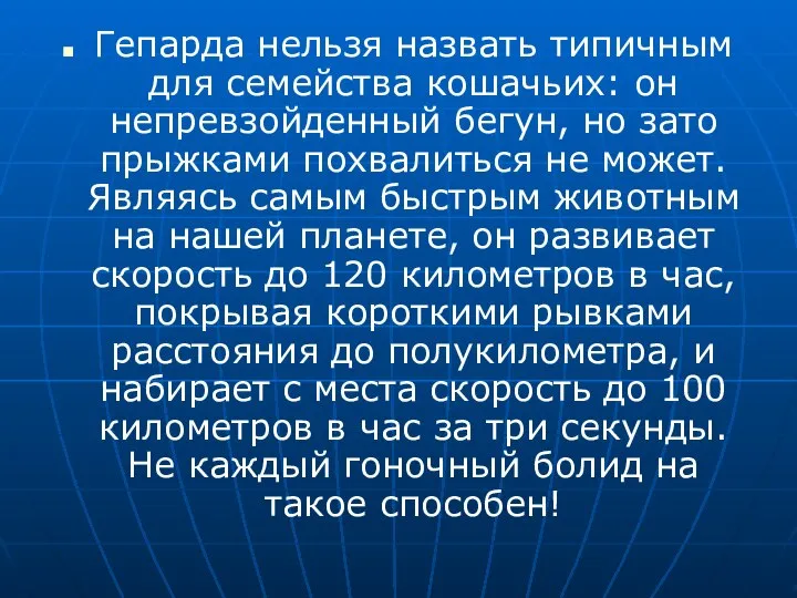 Гепарда нельзя назвать типичным для семейства кошачьих: он непревзойденный бегун, но зато