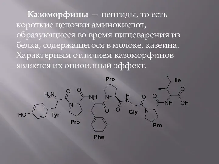 Казоморфины — пептиды, то есть короткие цепочки аминокислот, образующиеся во время пищеварения
