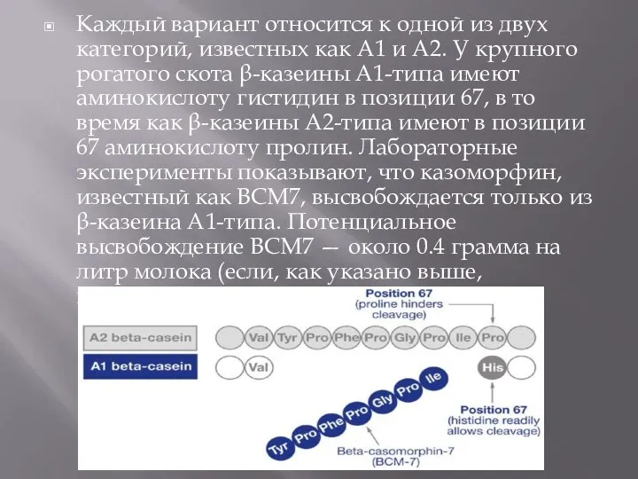 Каждый вариант относится к одной из двух категорий, известных как A1 и