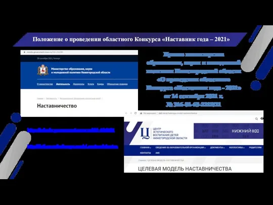 Приказ министерства образования, науки и молодежной политики Нижегородской области «О проведении областного