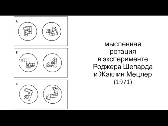 мысленная ротация в эксперименте Роджера Шепарда и Жаклин Мецлер (1971)