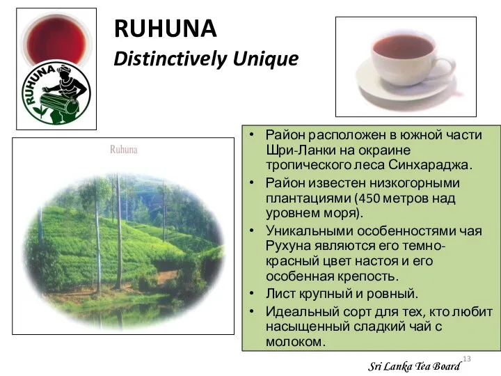 RUHUNA Distinctively Unique Sri Lanka Tea Board Район расположен в южной части