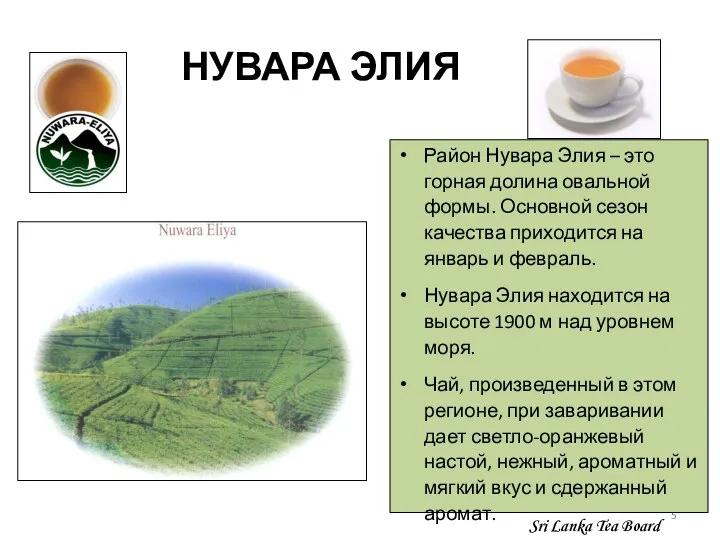 НУВАРА ЭЛИЯ Район Нувара Элия – это горная долина овальной формы. Основной