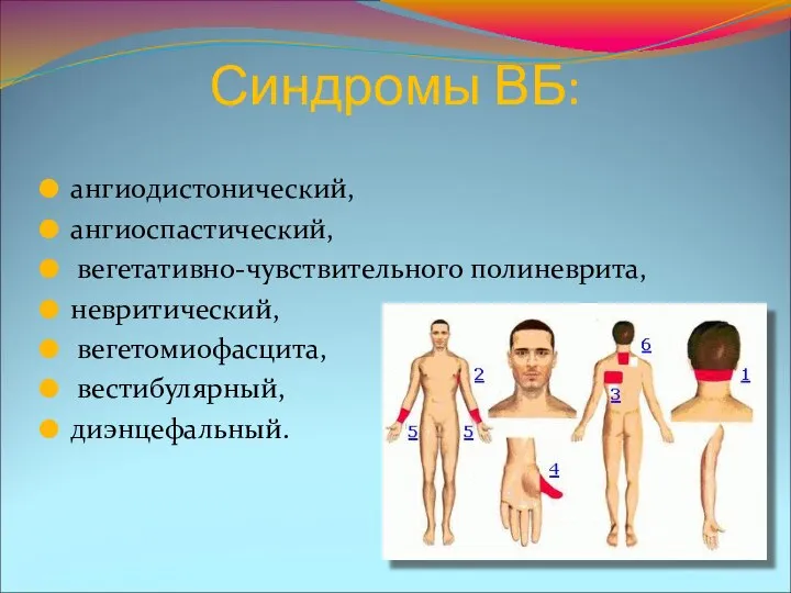 Синдромы ВБ: ангиодистонический, ангиоспастический, вегетативно-чувствительного полиневрита, невритический, вегетомиофасцита, вестибулярный, диэнцефальный.