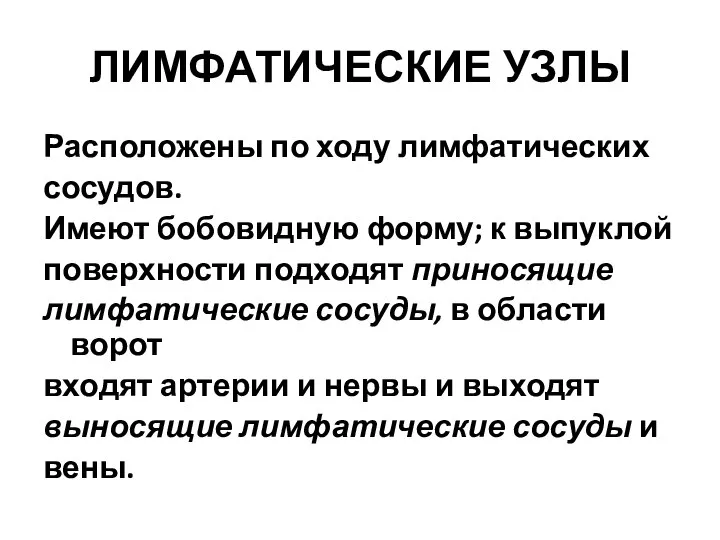 ЛИМФАТИЧЕСКИЕ УЗЛЫ Расположены по ходу лимфатических сосудов. Имеют бобовидную форму; к выпуклой