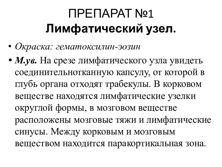 ПРЕПАРАТ №1 Лимфатический узел. Окраска: гематоксилин-эозин М.ув. На срезе лимфатического узла увидеть