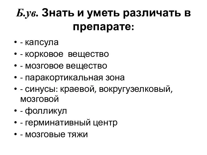 Б.ув. Знать и уметь различать в препарате: - капсула - корковое вещество