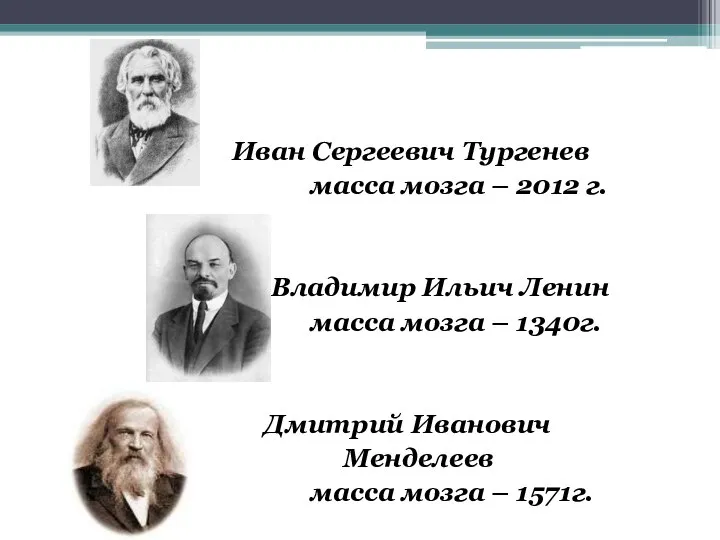 Иван Сергеевич Тургенев масса мозга – 2012 г. Владимир Ильич Ленин масса