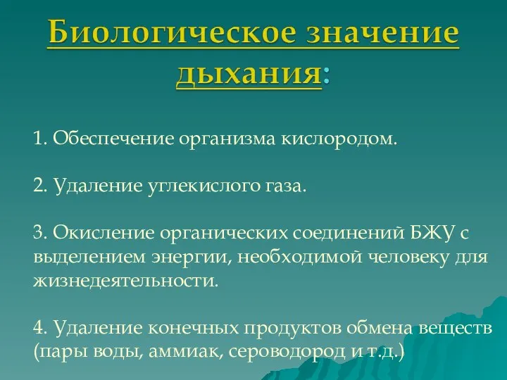 1. Обеспечение организма кислородом. 2. Удаление углекислого газа. 3. Окисление органических соединений