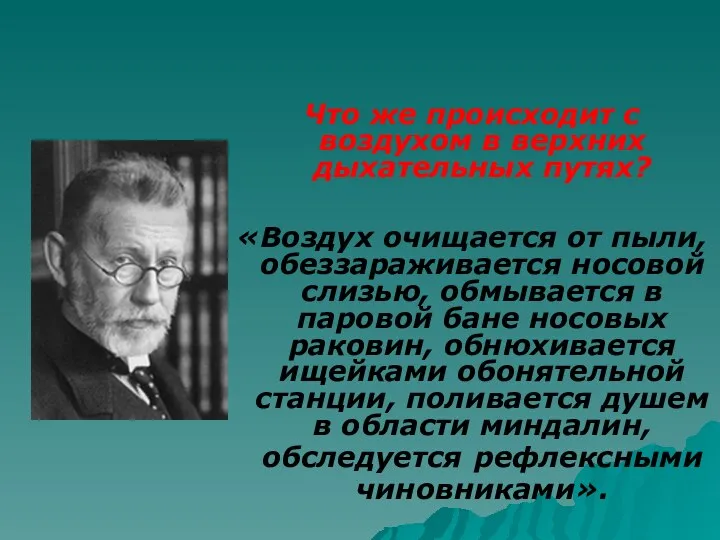 Что же происходит с воздухом в верхних дыхательных путях? «Воздух очищается от