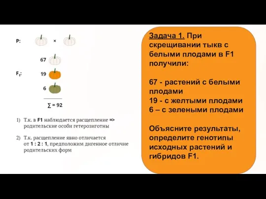 Задача 1. При скрещивании тыкв с белыми плодами в F1 получили: 67