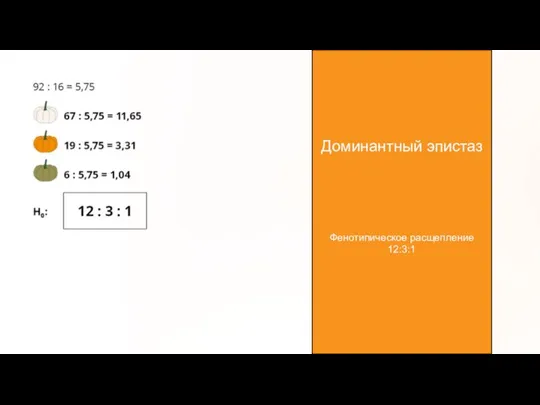 Доминантный эпистаз Фенотипическое расщепление 12:3:1