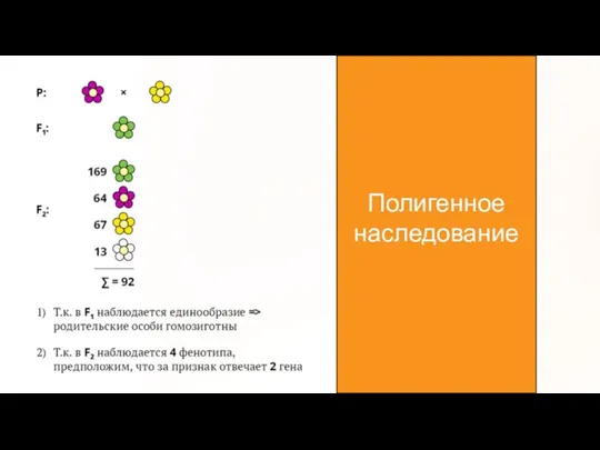 Полигенное наследование