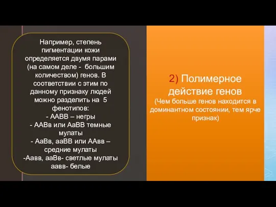 2) Полимерное действие генов (Чем больше генов находится в доминантном состоянии, тем