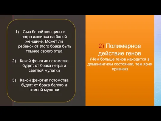 2) Полимерное действие генов (Чем больше генов находится в доминантном состоянии, тем