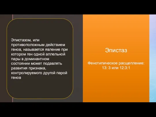 Эпистаз Фенотипическое расщепление: 13: 3 или 12:3:1 Эпистазом, или противоположным действием генов,