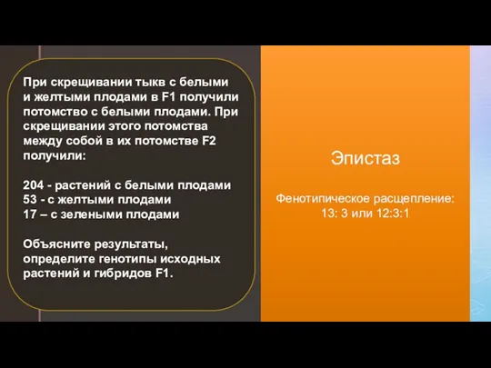 Эпистаз Фенотипическое расщепление: 13: 3 или 12:3:1 При скрещивании тыкв с белыми