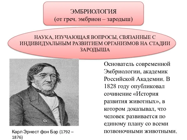 ЭМБРИОЛОГИЯ (от греч. эмбрион – зародыш) НАУКА, ИЗУЧАЮЩАЯ ВОПРОСЫ, СВЯЗАННЫЕ С ИНДИВИДУАЛЬНЫМ