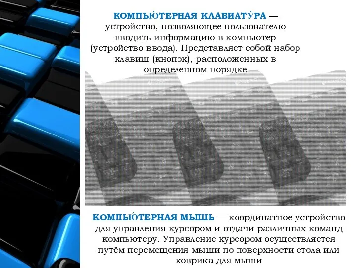 КОМПЬЮ́ТЕРНАЯ МЫШЬ — координатное устройство для управления курсором и отдачи различных команд