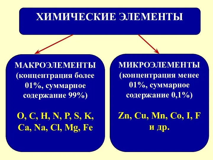 ХИМИЧЕСКИЕ ЭЛЕМЕНТЫ МАКРОЭЛЕМЕНТЫ (концентрация более 01%, суммарное содержание 99%) O, C, H,