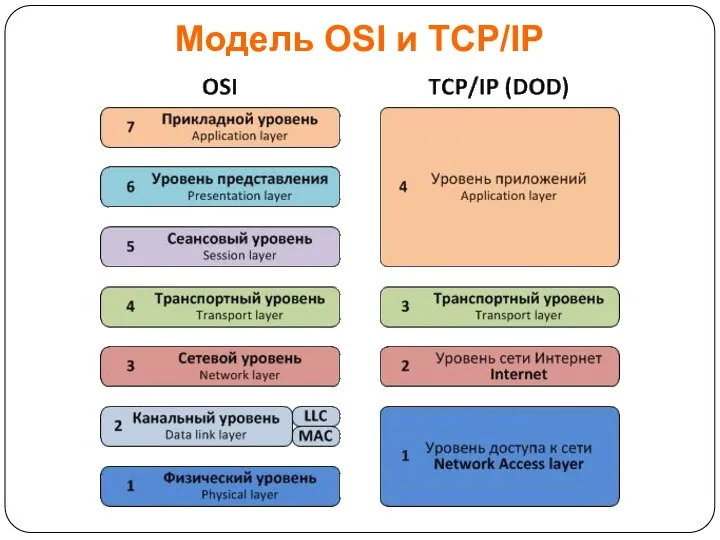 Модель OSI и TCP/IP