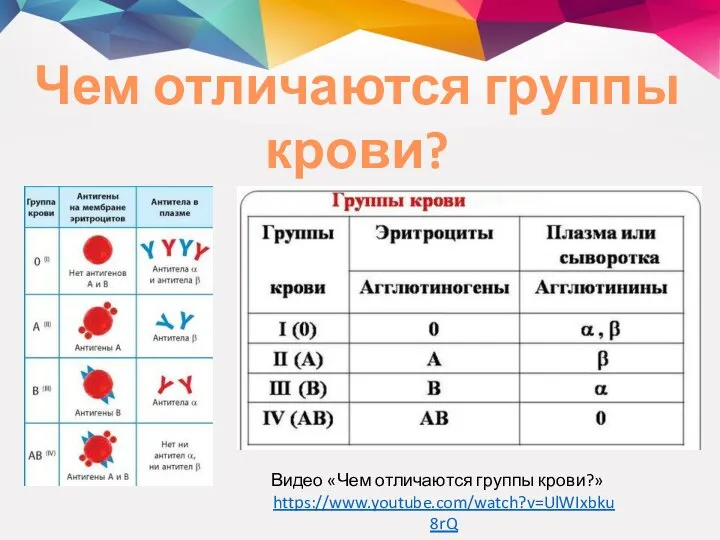 Видео «Чем отличаются группы крови?» https://www.youtube.com/watch?v=UlWIxbku8rQ Чем отличаются группы крови?