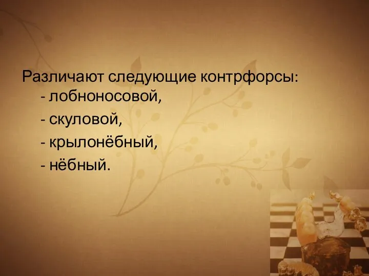 Различают следующие контрфорсы: - лобноносовой, - скуловой, - крылонёбный, - нёбный.