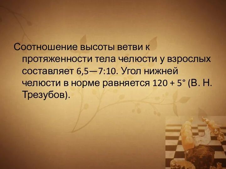 Соотношение высоты ветви к протяженности тела челюсти у взрослых составляет 6,5—7:10. Угол