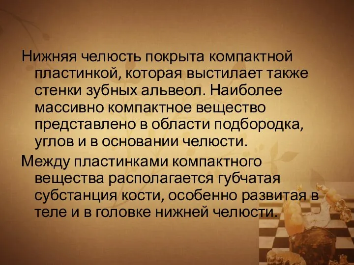 Нижняя челюсть покрыта компактной пластинкой, которая выстилает также стенки зубных альвеол. Наиболее