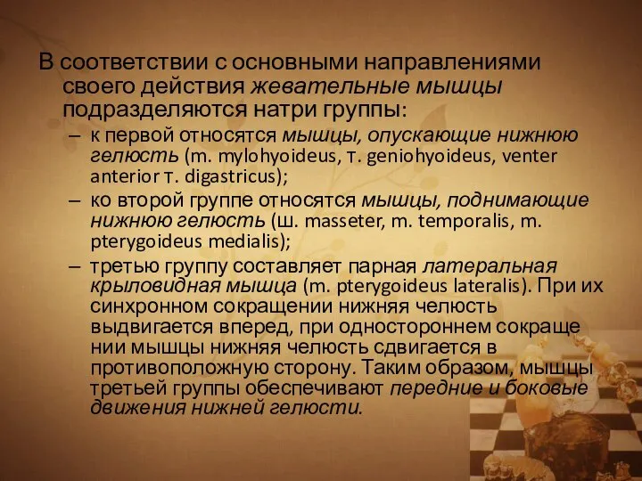 В соответствии с основными направлениями своего действия жевательные мышцы подразделяются натри группы: